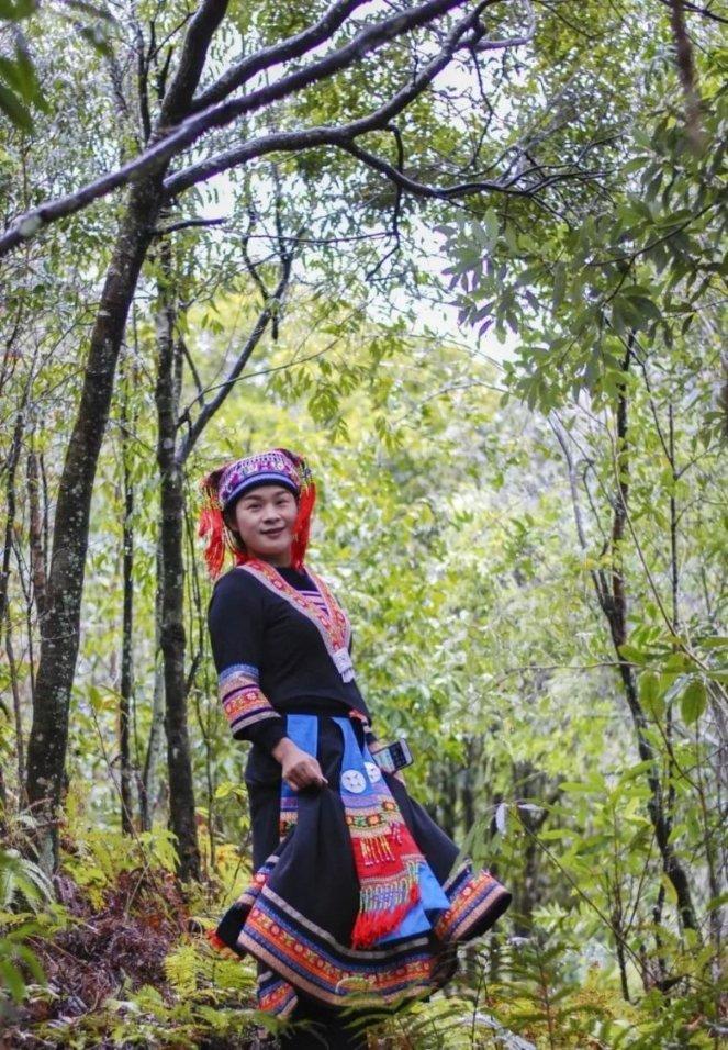 逃出蜜蜂岛