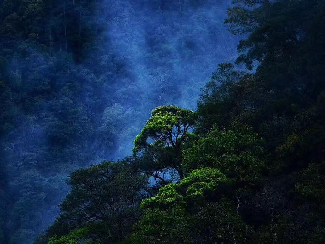 鬼屋魔影启蒙