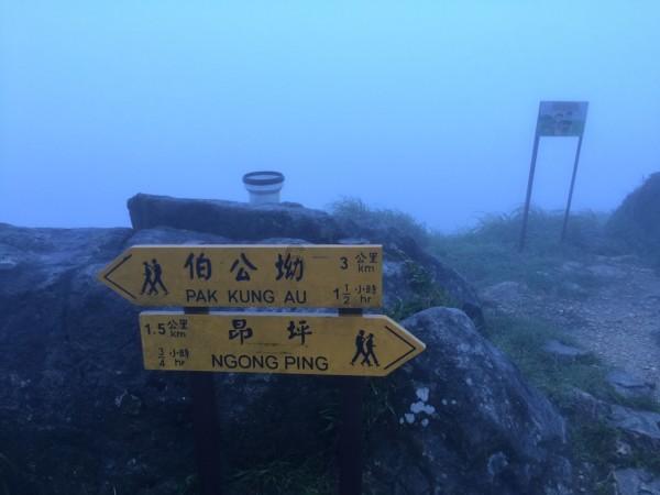 大庆市开通!轻微交通事故视频快处!