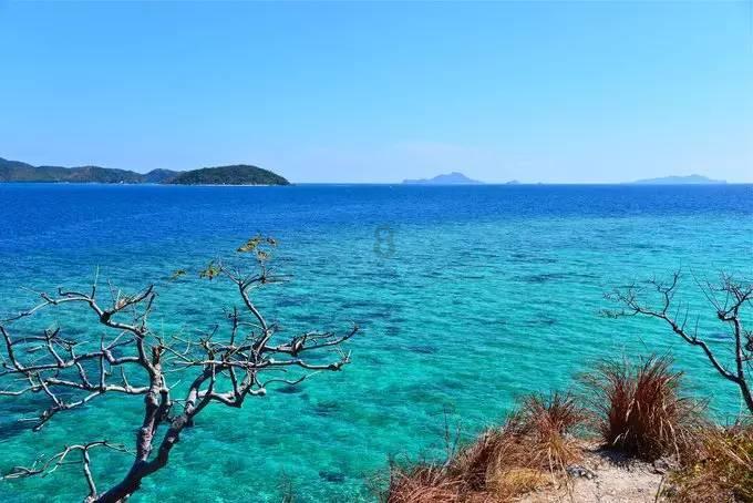 建成渝昆高铁川渝段、建成8个高速公路项目 今年重庆交通定下这些目标