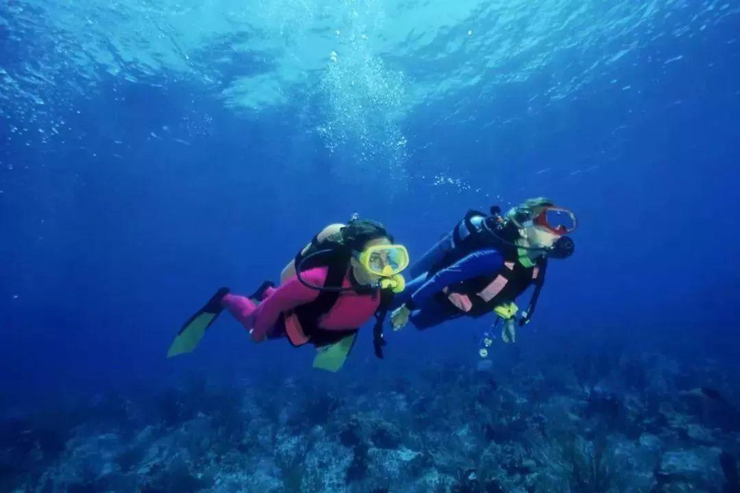 合金装备5