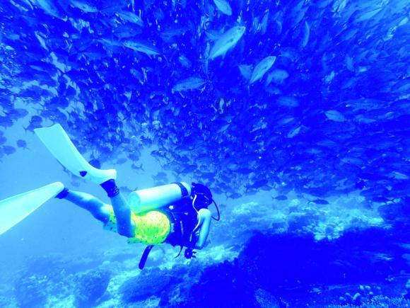 复星国际(00656)1月29日斥资约236.25万港元回购54.3万股