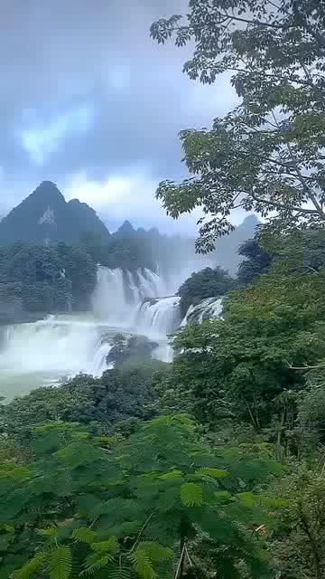 解密吉鹿力问答社区,探寻应届生找工作应该选择工资多的小公司还是发展好的大公司?的魅力之处