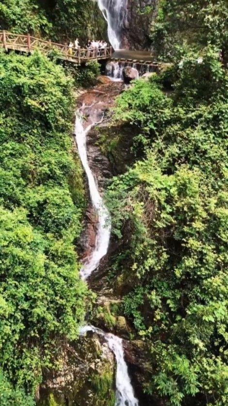 虎胆熊威3