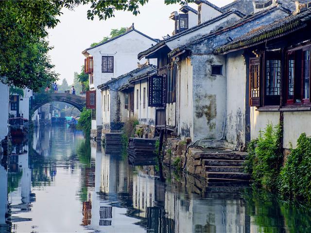 植物大战僵尸2