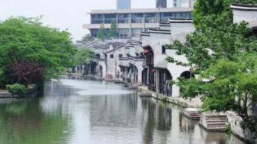 请问这是什么植物?—精准解答,搜罗天下问题