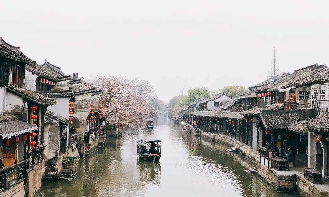 《苍生大医》首发仪式举办